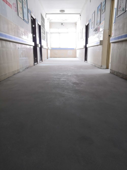 資陽(yáng)市石塑地板大廳石塑地板