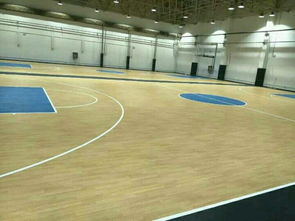 【室外塑膠籃球場(chǎng),運(yùn)動(dòng)塑膠地板,奧麗奇塑膠地板】- 